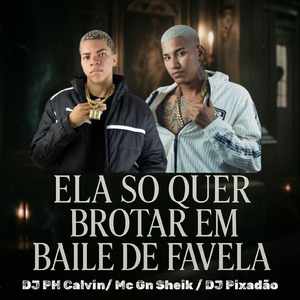 ELA SO QUER BROTAR EM BAILE DE FAVELA