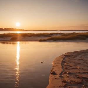Sandbar Kind of Love