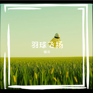 羽飞梦想