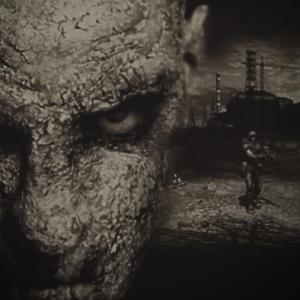 Shadow Of Southwest Florida