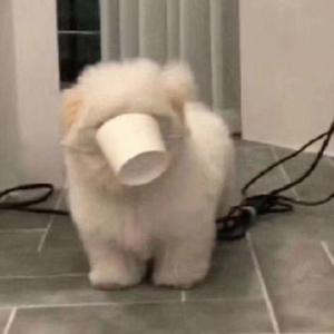 脆弱星球（温柔女声版）（翻自 王薇OneWay）