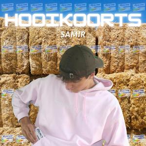 Hooikoorts