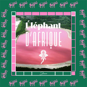Elephant D'Afrique