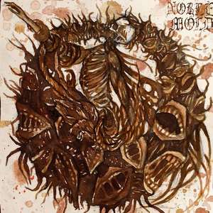 Erythrocyte Sendimentation Rate