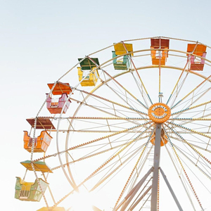 돌고 돌아 제자리로