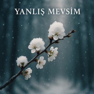 Kaderimle Baş Başa