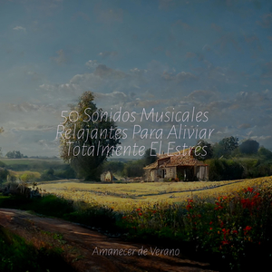 Tonos Dorados Abundan