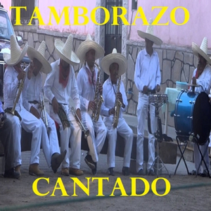 el buey de la barranca