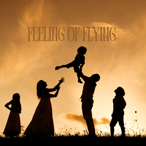 Feeling Of Flying