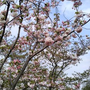 我宣布，这个冬天已告终（prod.by Morrow）