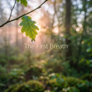 The First Breath
