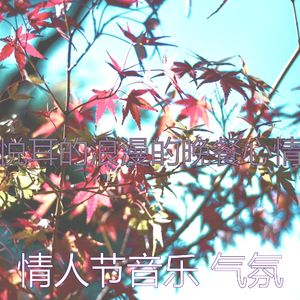 抚慰的鲜花花束回忆