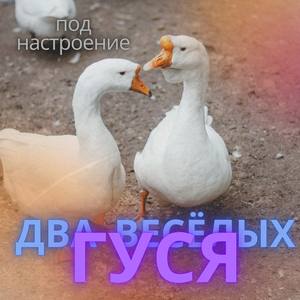Два весёлых гуся