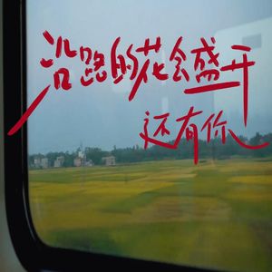 沿路的花会盛开，还有你