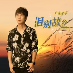 泪别故乡 (伴奏)(DJ大金版)