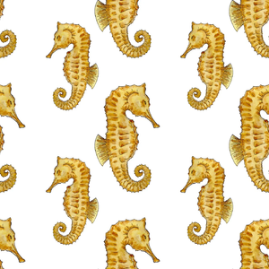 Seahorse