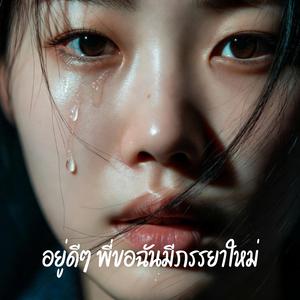 อยู่ดีๆ พี่ขอฉันมีภรรยาใหม่