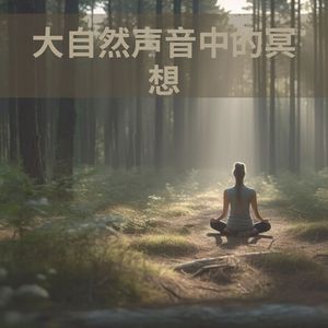 宁静旋律