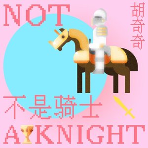不是骑士