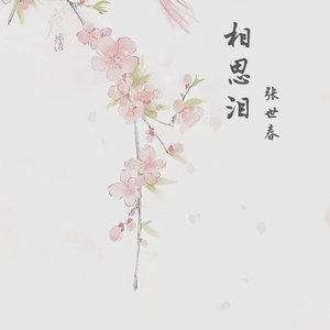 相思泪（伴奏）