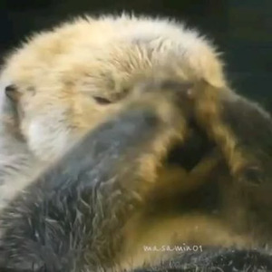 DISTRACTIONS III (slowed)