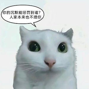 我的城市没有你