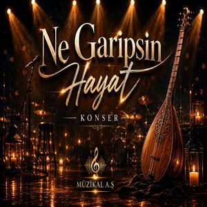 'Ne Garipsin Hayat' / Konser Performance