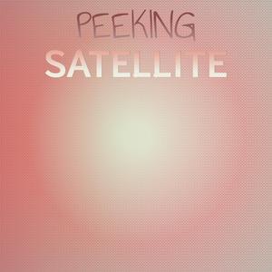 Penitentiaryship Shek