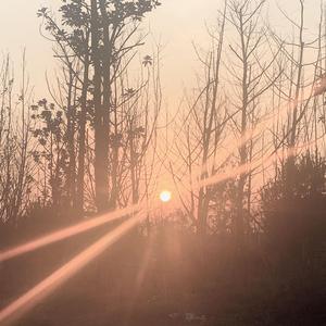 为 这 落 日 留 在 扬 州（live）