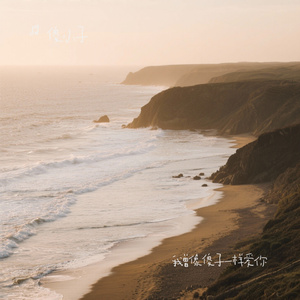 我曾像傻子一样爱你