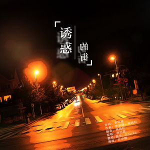 诱惑的街（Cover 林忆莲）