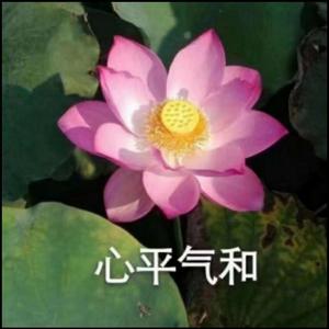 哪里都是你