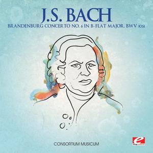 Brandenburg Concerto No. 6 in B-Flat Major, BWV 1051: Allegro