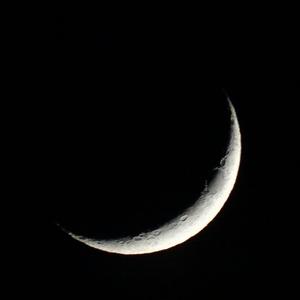 Shiloh Dynasty-would that make you love me？（Niklaus.W Remix）