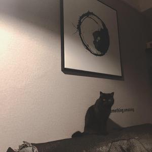 随便说点什么懒得起名了