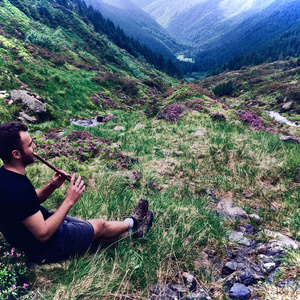 Caval drum la deal si drum la vale