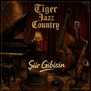 Ahu Gibi