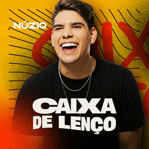 Caixa de Lenço