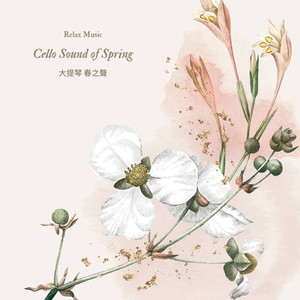 夏日最後的玫瑰