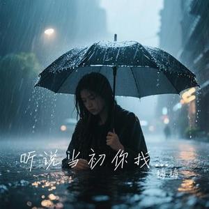 听说当初你找过我 (Cover 贺一航)