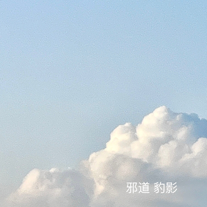 邪道豹影