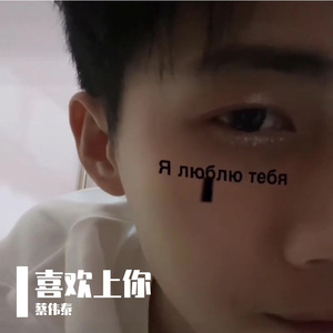 喜欢上你（试婚99天）