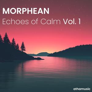 Evening in the Woods