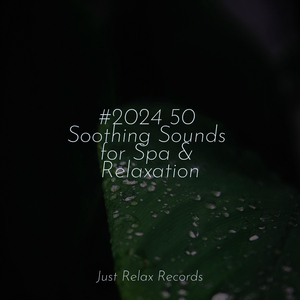 Silent Seraph's Song