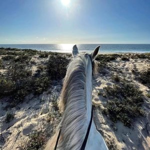 Take You Dancin (DJ Baur Sax Edit)