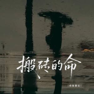 搬砖的命