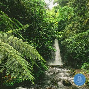 Sedgefield waterfall (Base of waterfall after rain)