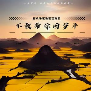 不敢带你回罗平