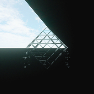 Pamiršau žiūrėt į paukščius