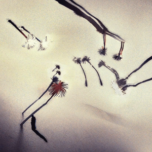 Touch Me_河南说唱之神 Type Beat